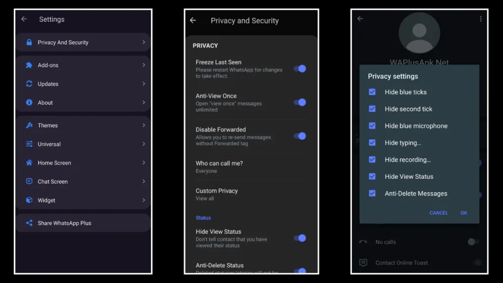 WhatsApp Plus Features